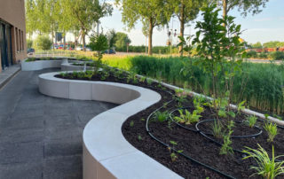 Biobased Beton en Biodiversiteit Het duurzame dakterras van Zuidelijk Halfrond Gouda